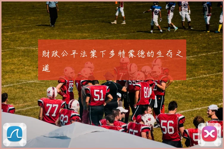 财政公平法案下多特蒙德的生存之道