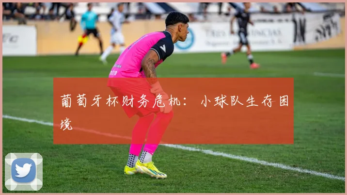 葡萄牙杯财务危机：小球队生存困境