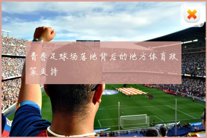 青春足球场落地背后的地方体育政策支持