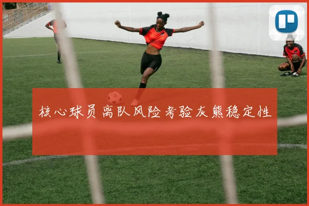 核心球员离队风险考验灰熊稳定性