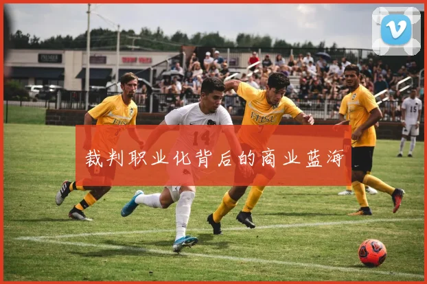 裁判职业化背后的商业蓝海